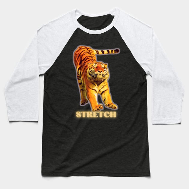 Large tiger doing a stretch exercise - silver gold 1 Baseball T-Shirt by Blue Butterfly Designs 